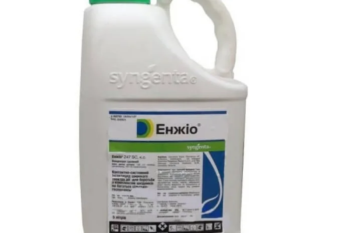 Инсектицид Энжио – эффективная защита растений- фото № 1