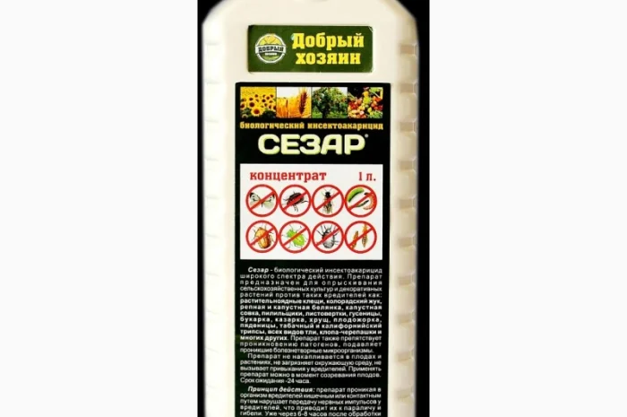 Сезар инсектицид + аккарицид от вредителей- фото № 2