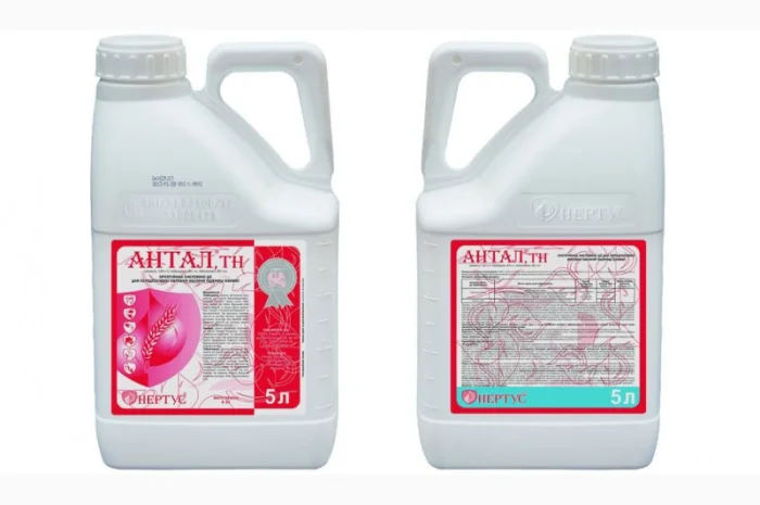 Антал - трикомпонентний протруйник зернових від Нертус- фото № 1