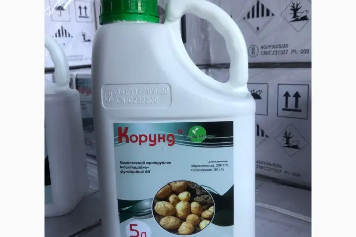 Корунд - інсектицидно-фунгіцидний протруйник насіння картоплі- фото № 1