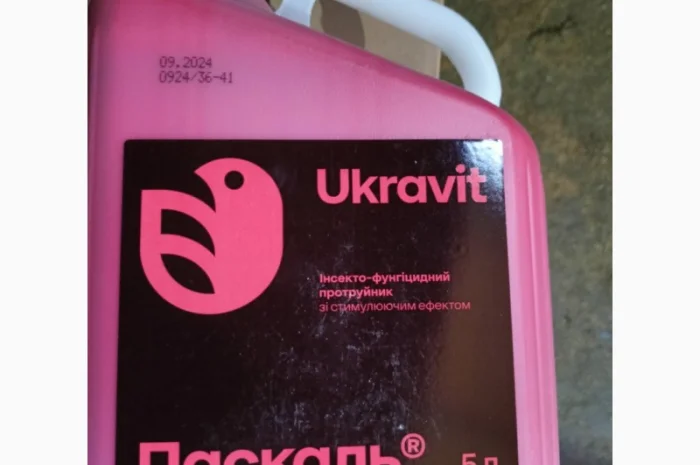 Паскаль - Інноваційний інсекто-фунгіцидний протруйник проти широкого спектра шкідників- фото № 1