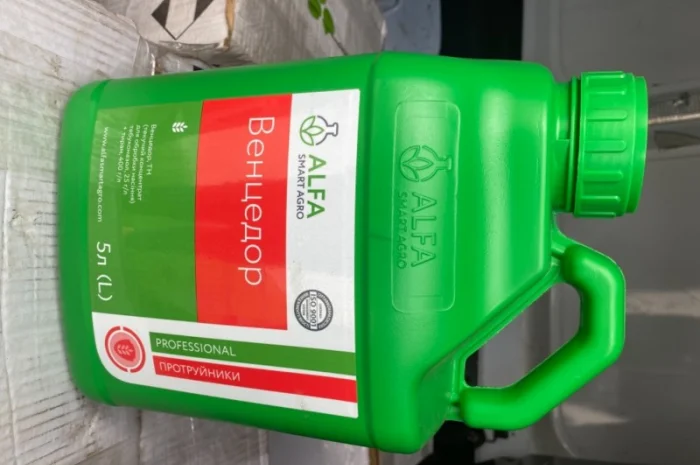 Венцедор протруйник- фото № 1