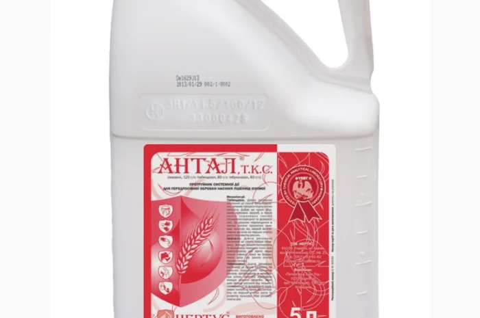 Антал - протруйник системної дії для обробки насіння зернових. Дніпропетровська обл- фото № 1