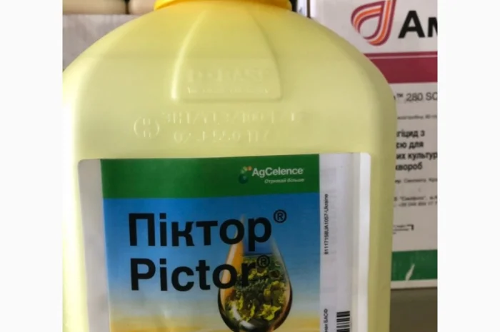 Редіго м протруйник до соі та кукурудзи- фото № 16