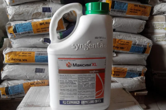 Купить протравитель Максим XL- фото № 1