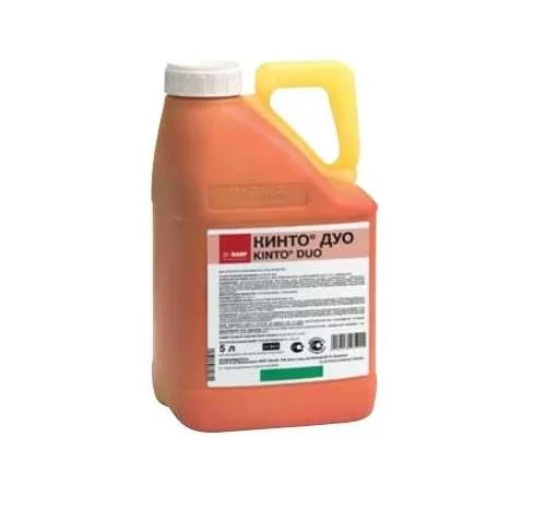 Купить Кинто Дуо- фото № 1