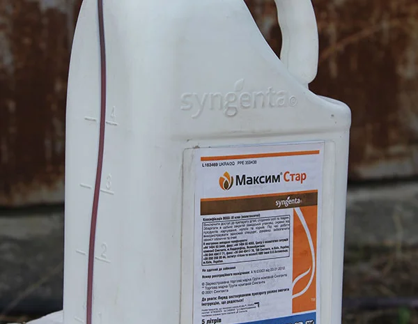 Купить протравитель Максим Стар- фото № 1