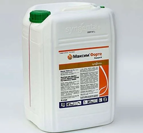 Максим форте 050 fs т.к.с. 20л цена за л- фото № 1