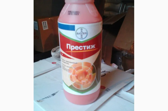 Престиж- фото № 1