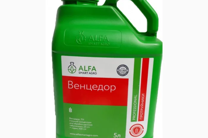 Венцедор- фото № 1
