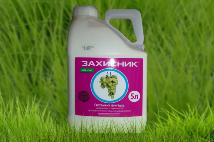 Фунгіцид Захисник 5л аналог Топсин М (д.р.Тіофанат-метил, 500 г/л)- фото № 1