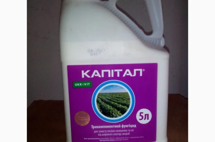 Фунгіцид Капітал- фото № 1