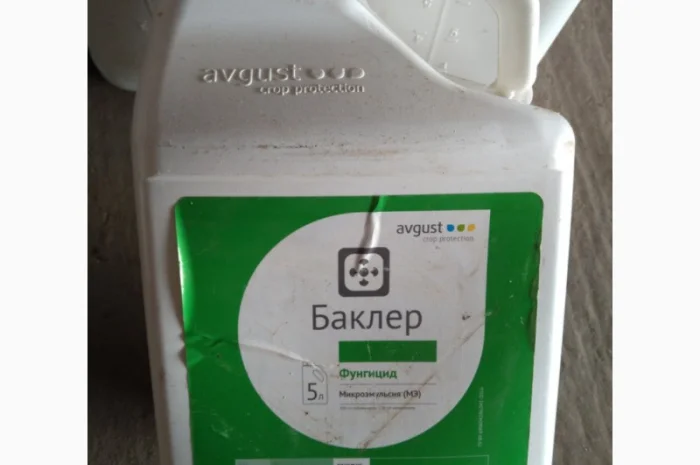 Баклєр - новий системний фунгіцид для захисту пшениці та ріпаку від комплексу хвороб- фото № 1