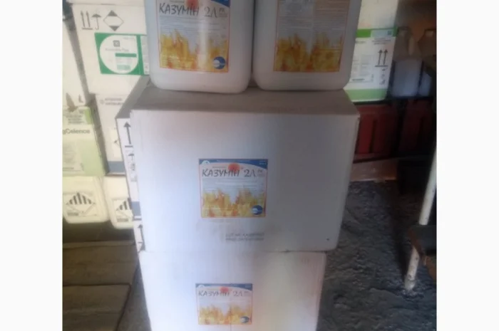 КАЗУМІН 2Л - Біологічний бактерицид та фунгіцид лікувальної дії- фото № 1