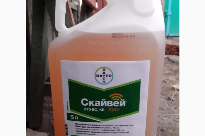 Скайвей Xpro - надійний захист пшениці і ячменю від комплексу грибкових хвороб- фото № 1