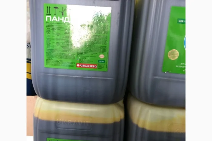 Ретенго фунгіцид до соняшника- фото № 15