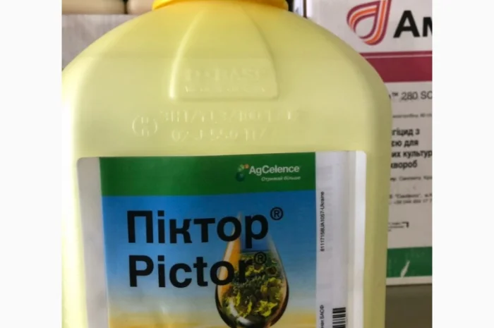 Піктор фунгіциддо ріпаку- фото № 1