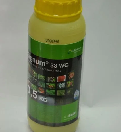 Signum 33WG (Сигнум) 0, 5 кг - универсальный системный фунгицид (Польша)- фото № 1