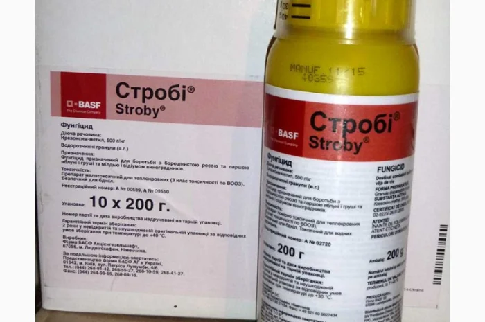 Строби фитал фунгицид для сада и огорода- фото № 3