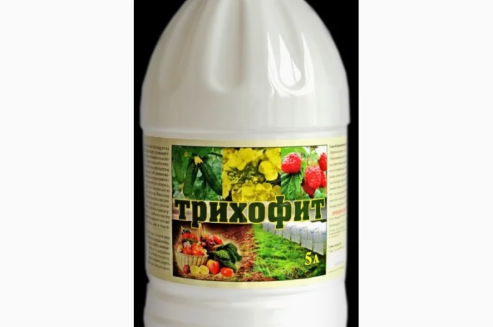 Трихофит (триходермин) фунгицид от грибковых болезней- фото № 1