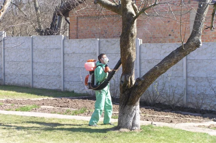 Подготовка участка к зиме:Услуги садовника- фото № 12