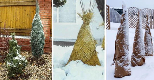 Подготовка участка к зиме:Услуги садовника- фото № 4