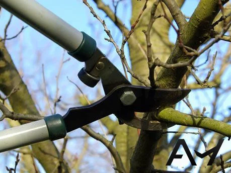 Подготовка участка к зиме:Услуги садовника- фото № 5