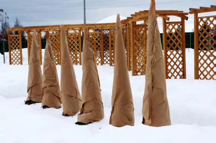 Подготовка участка к зиме:Услуги садовника- фото № 7