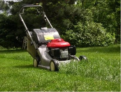 Подготовка участка к зиме:Услуги садовника- фото № 9