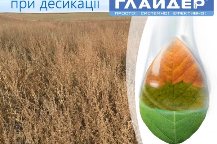 Прилипач Глайдер / Незамінний компонент при десикації- фото № 3