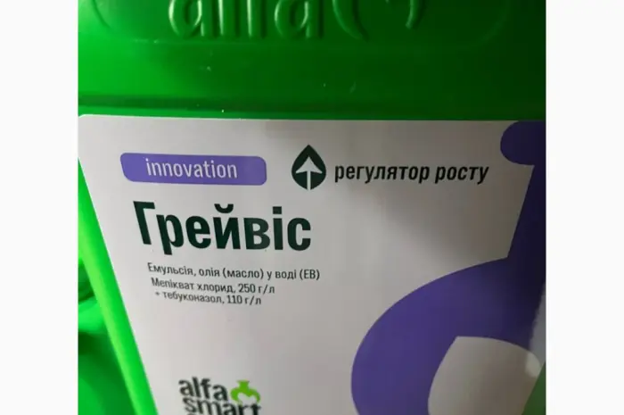 Грейвіс - регулятор росту та системний фунгіцид-ретардант для ріпаку- фото № 2