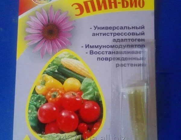 Эпин 2мл – эффективный регулятор роста растений- фото № 3