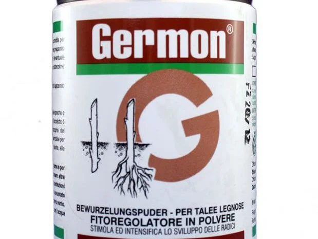 Germon 75% (Жермон) 100г - стимулятор роста для укоренения черенков древесных пород- фото № 1