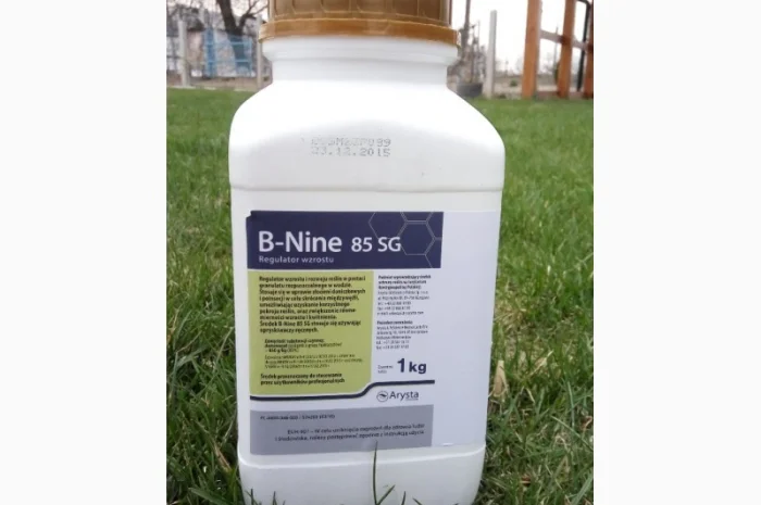 Регулятор роста B-Nine 85 SG для хризантем (Польша)- фото № 1