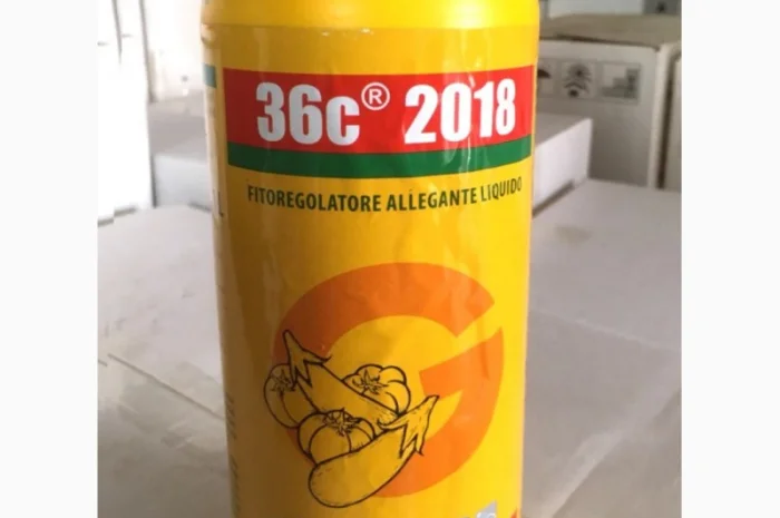 Регулятор роста 36С TIPO B (тип Б) 1л – для завязи плодов (Италия)- фото № 1