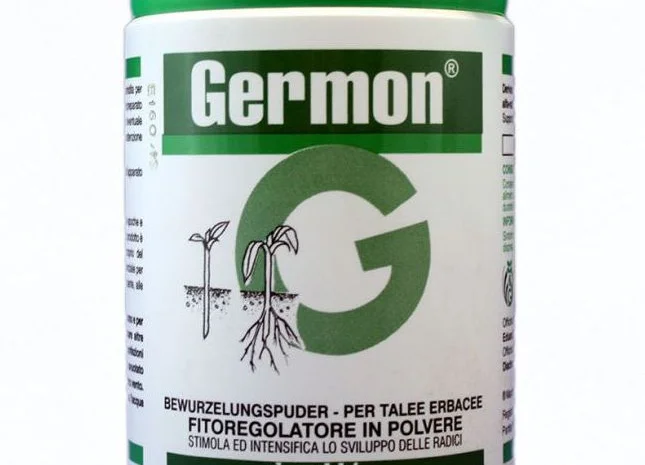 Germon 50% (Жермон) 100г - стимулятор роста для укоренения черенков- фото № 1
