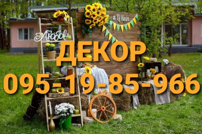 Сено сіно солома для декора, декорации, фотосессии в тюках мешках- фото № 1