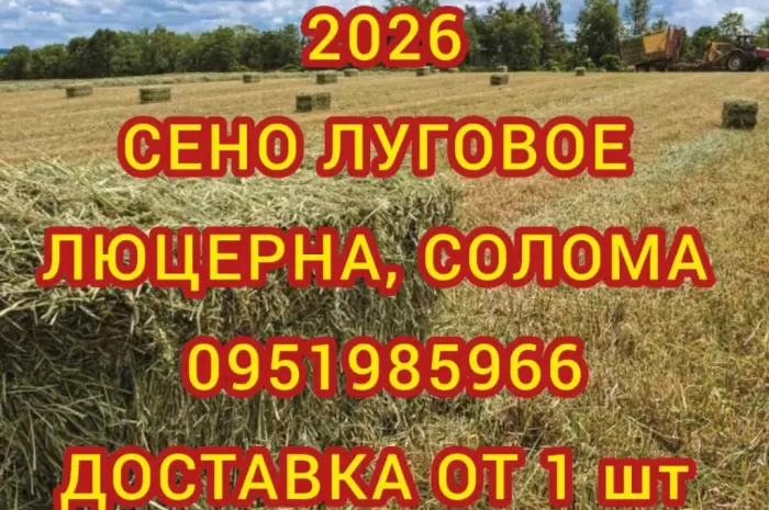 Сено сіно солома для декора, декорации, фотосессии в тюках мешках- фото № 1