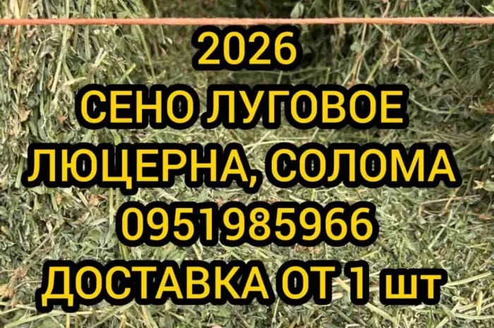 Сено солома для фотосесії декора в тюках мешках з доставкою від 1шт- фото № 1