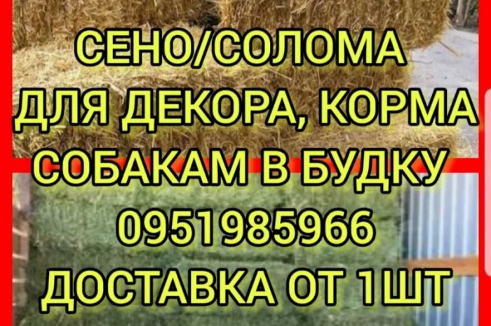 Хозяйство предлагает сено луговое, солому, люцерну, солому с доставкой по Украине- фото № 1