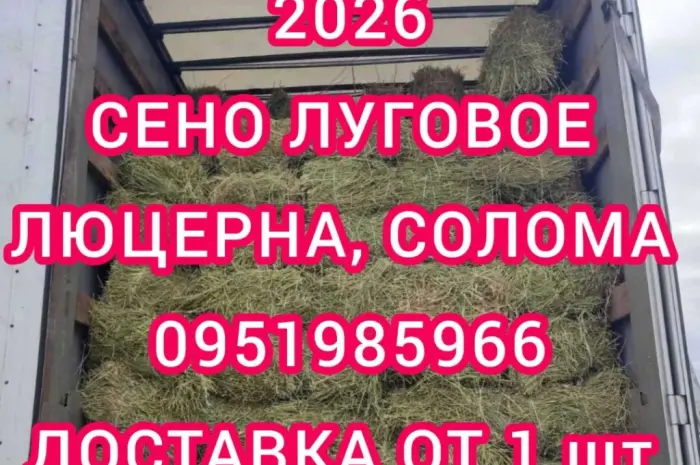 Хозяйство пропонує сіно лугове, солому, люцерну, солому з доставкою по Україні- фото № 1