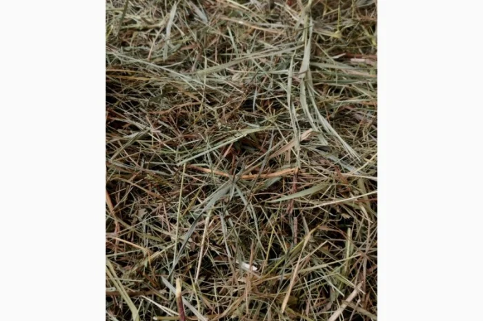 Сіно в тюках лугове, люцерна- фото № 1