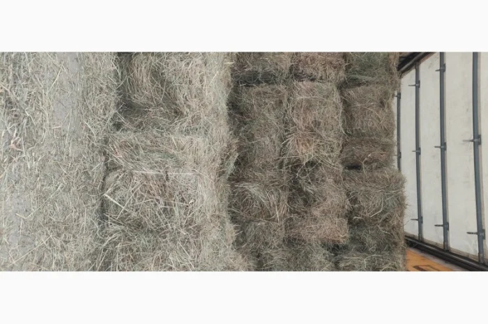 Сіно в тюках лугове, люцерна- фото № 3