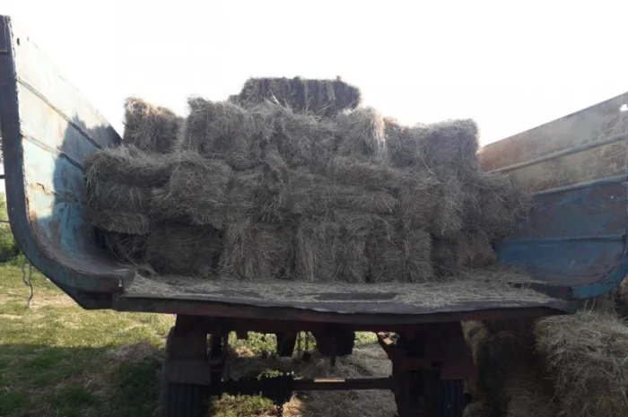 Сіно в тюках лугове, люцерна- фото № 5