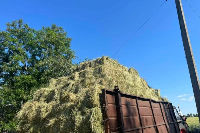 Сіно в тюках лугове, люцерна- фото № 6