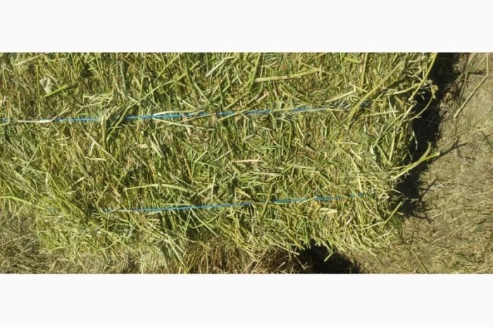 Сено луговое, люцерна в тюках- фото № 6