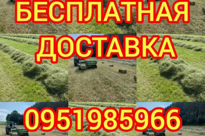 Б.н. розрахунок, великі обсяги, доставка по Україні. Лугове сіно, люцерна, солома- фото № 1