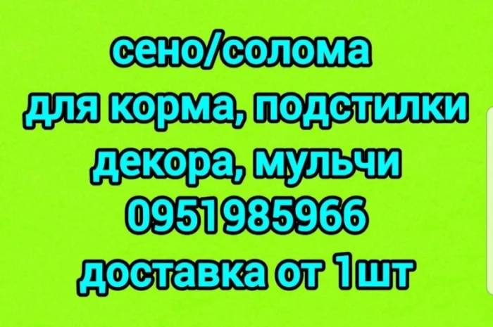 СЕНО различных видов. Доставка. Объёмы. Есть безналичный расчёт- фото № 1