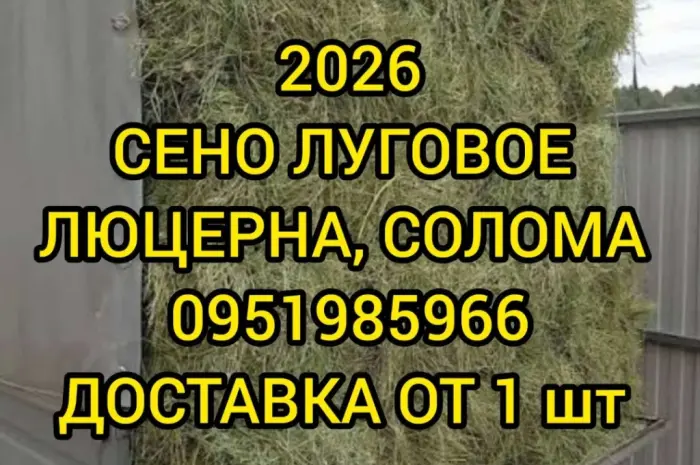 СІНО різних видів. Доставка. Об’єми. Є безготівковий розрахунок- фото № 1