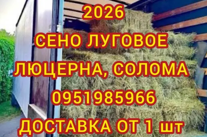 Лугове сіно. Люцерна в тюках. Доставка. Б/н- фото № 1